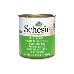 6x285g frango com ervilhas latas Schesir comida húmida cães