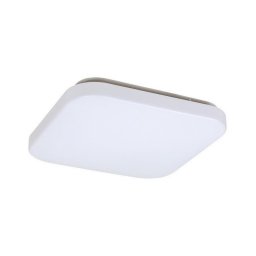 Rabalux 3340 - Luminária de teto LED ROB LED/20W/230V
