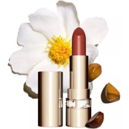 Clarins 737 Joli Rouge Spicy Cinnamon 3.5g