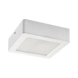 Rabalux 3174 - Iluminação de teto LED SHAUN LED/12W/230V 14,5 cm
