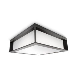 Philips - Iluminação de teto exterior SKIES 2xE27/14W/230V IP44 antracite