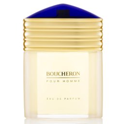 Boucheron Homme - 100 ML Eau de Parfum Perfumes Homens