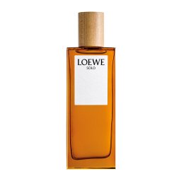 Loewe Solo - 100 ML Eau de toilette Perfumes Homens