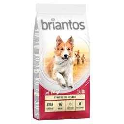 2x14kg Briantos Adult frango e arroz ração