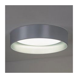 Duolla - Iluminação de teto LED ROLLER LED/24W/230V diâmetro 45 cm prateado