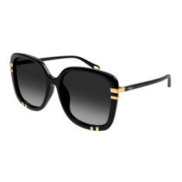 Chloe Sunglasses Óculos de sol para homens Óculos de sol Ch0106Sa