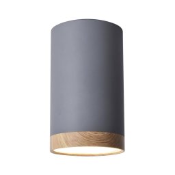 Luz de teto LED TUBA LED/9W/230V