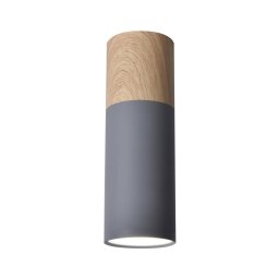 Luz de teto TUBA GU10/15W/230V