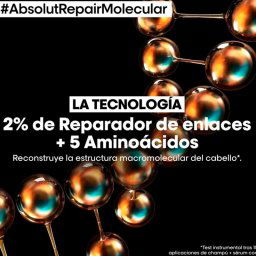 Loreal Professionnel Shampoos Absolut Repair Molecular Shampoo