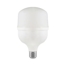 Lâmpada LED T100 E27/30W/230V 4000K