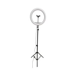 Candeeiro LED com regulação, tripé e suporte para vlogging LED/15W/5V 2700-6500K