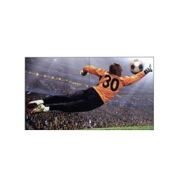 LG - Monitor VideoWall 49VL5G-M