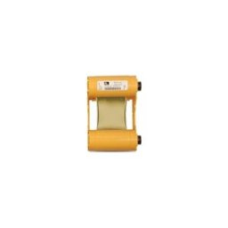 Zebra 800033-806 fita dourado monocromo