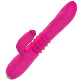 Função Para Cima E Para Baixo Nalone E Coelho Rotativo