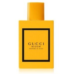 Gucci Bloom Profumo Di Fiori EDP 50ml