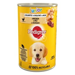 24x400g frango gelatina Junior Pedigree comida húmida para cães