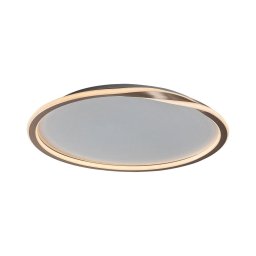Rabalux 71291 - Iluminação de teto LED MATHIOLA LED/40W/230V dourado
