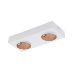 Eglo 39374 - Luz de teto fosca LED RONZANO 2xLED/3,3W/230V