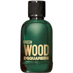 Dsquared2 Green Wood Pour Homme EDT 100 ml
