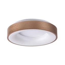 Rabalux 5053 - Iluminação de teto LED CARMELA LED/50W/230V