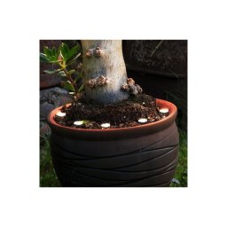 Eglo 900117 - Corrente decorativa exterior LED SPINETOLI 6xLED IP65