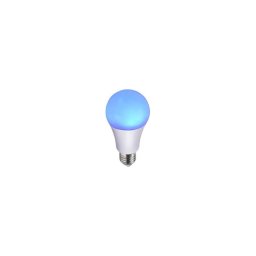 JUST LIGHT. 08132-56 - Lâmpada LED LILUCO E27/4W/230V azul
