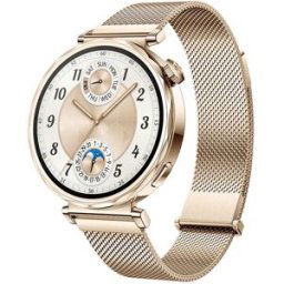 SMARTWATCH HUAWEI GT5 41M GD