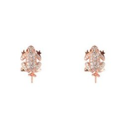 Brincos Lancaster Mulher Lancaster Jla-ear-frog2 1,2 Mm
