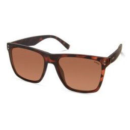 Sol Guess Man Gf0235-5552e