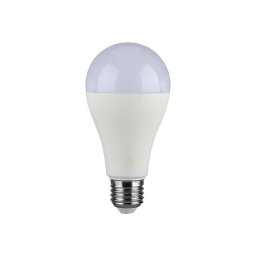 Lâmpada LED SAMSUNG CHIP A65 E27/17W/230V 6500K