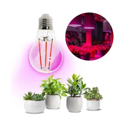 Luz LED para crescimento de plantas PLANTY E27/8W/230V 1200K