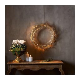 Eglo 411421 - Decoração de Natal LED FIZZY 50xLED/0,06W/5/230V