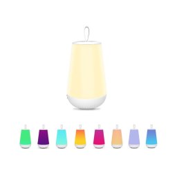 Rabalux 76019 - LED RGB Candeeiro de mesa com regulação FRANCO LED/2W/5V 3000K