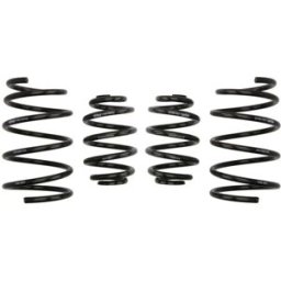 Molas EIBACH Pro Kit E2033-140