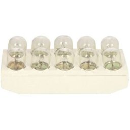Lâmpada secundária BOSCH R10W Trucklight 24V, 10W