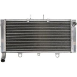 Radiador, arrefecimento do motor 4 RIDE RAD-530