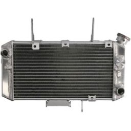 Radiador, arrefecimento do motor 4 RIDE RAD-698