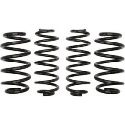 Molas EIBACH Pro Kit E10-15-011-02-22