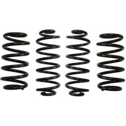 Kit de suspensão, molas EIBACH Pro-Kit E10-15-018-06-22