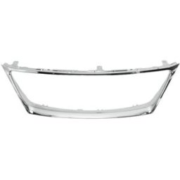 Moldura decorativa/de proteção, grelha do radiador BLIC 6502-07-8171991P