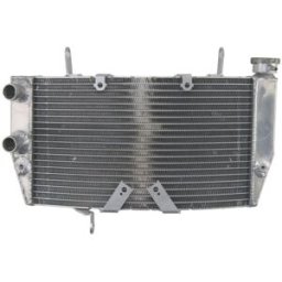 Radiador, arrefecimento do motor 4 RIDE RAD-507