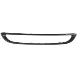 Moldura, grelha do radiador BLIC 6502-07-3502989P