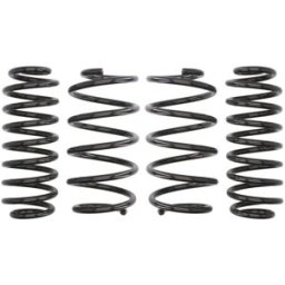 Molas, Chassis EIBACH E10-85-021-01-22