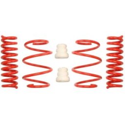 Kit de suspensão, molas EIBACH E20-20-030-01-22