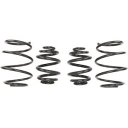 Molas EIBACH Pro Kit E2066-140