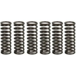 Kit de molas de embraiagem TRW MEF308-6