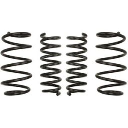 Kit de suspensão, molas EIBACH Pro-Kit E10-20-024-02-22