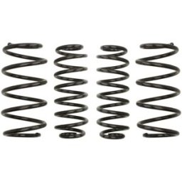 Molas EIBACH Pro Kit E10-81-005-02-22