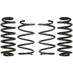 Kit de suspensão, molas EIBACH Pro-Kit E10-79-010-01-22