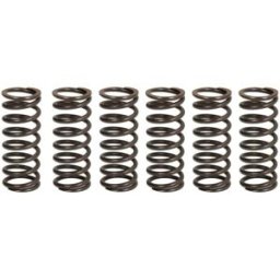 Kit de molas de embraiagem TRW MEF326-6